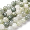 Natural Gemstone Beads Strands G-F808-C02-12mm-2