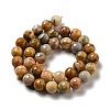 Natural Crazy Lace Agate Beads Strands G-E571-36C-3