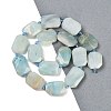 Natural Flower Amazonite Beads Strands G-B125-P05-01-2