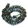 Natural African Turquoise(Jasper) Beads Strands G-K245-H14-03-2
