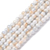 Glass Beads Strands LAMP-R020-04C-1
