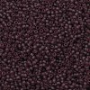 TOHO 11/0 Round Beads SEED-XTR11-0006BF-2