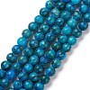 Natural Howlite Beads Strand G-E592-01-1