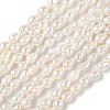 Natural Cultured Freshwater Pearl Beads Strands PEAR-C004-11-2
