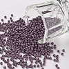11/0 Grade A Round Glass Seed Beads SEED-N001-A-1048-1