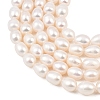 Natural Cultured Freshwater Pearl Beads Strands PEAR-F020-22A-4