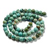 Natural Peruvian Turquoise(Jasper) Beads Strands G-A219-A05-02-2