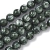 Natural Seraphinite Beads Strands G-C270-O01-07-2