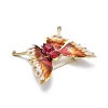 Alloy Enamel Brooch JEWB-C037-26A-G-2