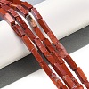 Natural Red Jasper Beads Strands G-E612-C07-2