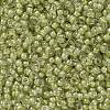 MIYUKI Round Rocailles Beads X-SEED-G009-RR0378-3