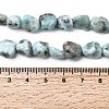 Natural Larimar Beads Strands G-B161-B10-5