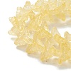 Transparent Glass Beads Strand GLAA-K002-02G-4