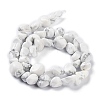 Natural Howlite Beads Strands G-K337-06-4