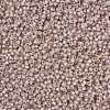 MIYUKI Round Rocailles Beads X-SEED-G008-RR0579-3
