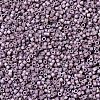 MIYUKI Delica Beads SEED-X0054-DB1064-2