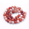 Natural Weathered Agate Beads Strands G-S249-07-10mm-2