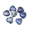 Natural Sodalite Beads G-F678-36-1