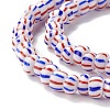 Handmade Lampwork Beads Strands BLOW-K001-01B-07-4
