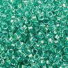 Glass Cylinder Beads SEED-L011-11B-17-3