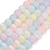 Macaron Color Natural Selenite Beads Strands G-B103-A01-01-1