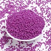 Baking Paint Glass Seed Beads SEED-S001-K21-2