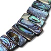 Natural Paua Shell Beads Strands BSHE-S305-01B-3