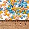 Baking Painted Glass Seed Beads SEED-C004-01Q-4