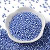 Baking Paint Glass Seed Beads X-SEED-S042-15A-12-2
