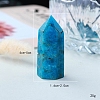Point Tower Natural Apatite Home Display Decoration PW-WG91959-02-4