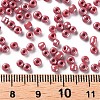 8/0 Glass Seed Beads SEED-US0003-3mm-125B-3