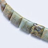 Natural Aqua Terra Jasper Beads Strands G-E444-19-3