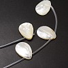 Natural Trochid Shell/Trochus Shell Beads Strands SSHEL-K009-12-3