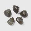 5Pcs Natural Labradorite Beads G-FS0002-04-1