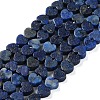 Dyed Natural Lapis Lazuli Beads Strands G-M403-A30-01-1