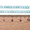 Anti-Tarnish Dyed Rondelle Glass Beads Strands EGLA-T021-3mm-17-07-4