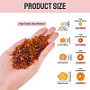 4 Strands 4 Styles Glass Beads Strands EGLA-TA0012-97C-4