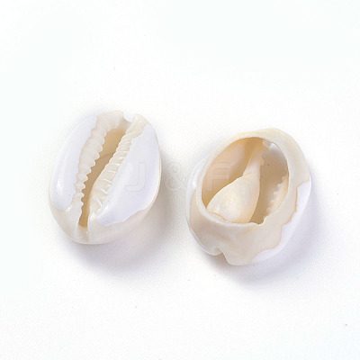 Cowrie Shell Beads BSHE-G019-02F-1