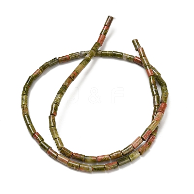 Natural Unakite Beads Strands G-P600-B06-01A-1