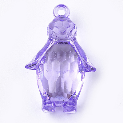 Transparent Acrylic Pendants TACR-S149-03-1