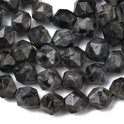Natural Larvikite Beads Strands G-Z119-A32-03-1