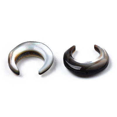 Natural Shell Bead sets SSHEL-N034-122B-1