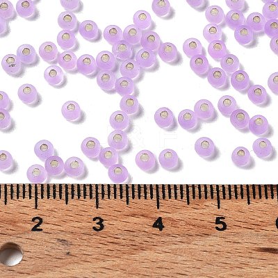 8/0 Glass Seed Beads SEED-Z001-C-E16-1