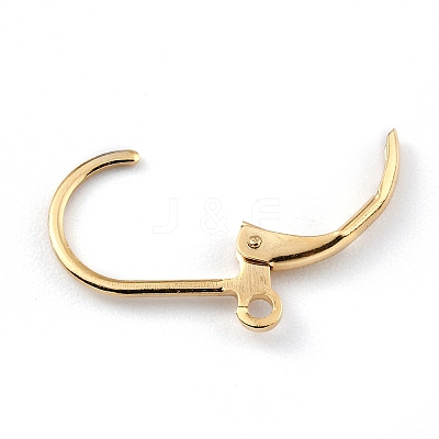 Brass Leverback Earring Findings X-KK-O131-09G-1