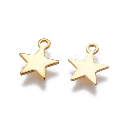 304 Stainless Steel Charms X-STAS-G190-27G-B-1