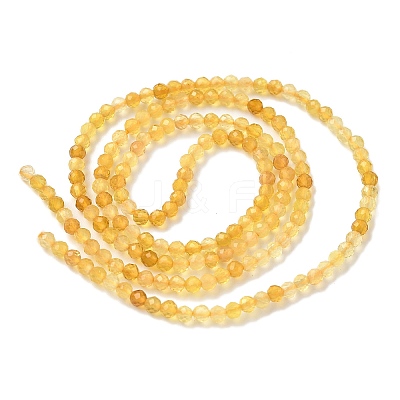 Natural Yellow Opal Beads Strands G-D306-A05-2mm-1