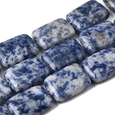 Natural Blue Spot Jasper Beads Strands G-S386-A05-1