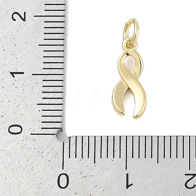 Brass Enamel Charms KK-Q028-30G-02-1