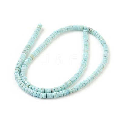 Natural Howlite Beads Strands X-G-P398-F-1