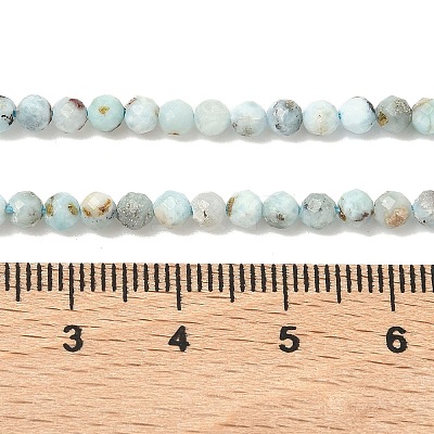 Natural Larimar Beads Strands G-F785-B01-01A-1